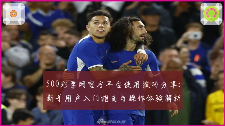 500彩票网官方平台使用技巧分享：新手用户入门指南与操作体验解析