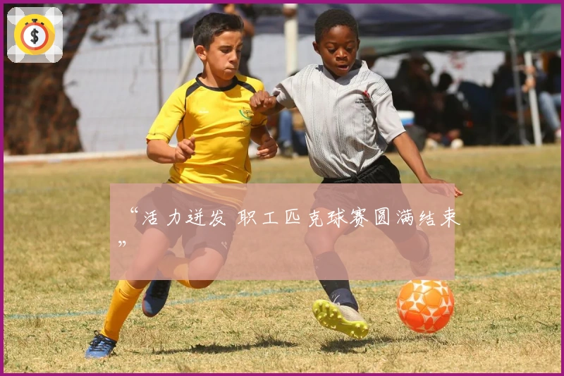 “活力迸发 职工匹克球赛圆满结束”