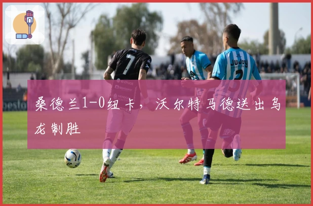 桑德兰1-0纽卡，沃尔特马德送出乌龙制胜