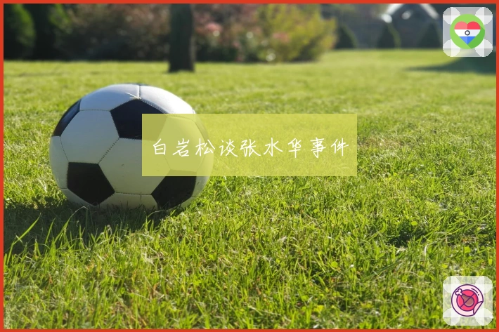 白岩松谈张水华事件