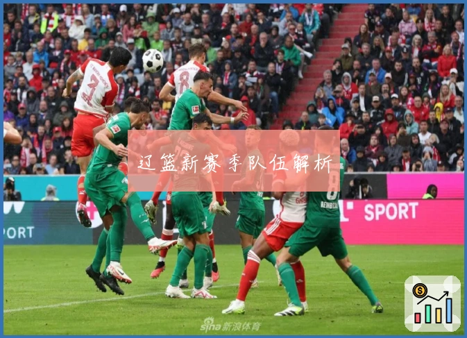 辽篮新赛季队伍解析