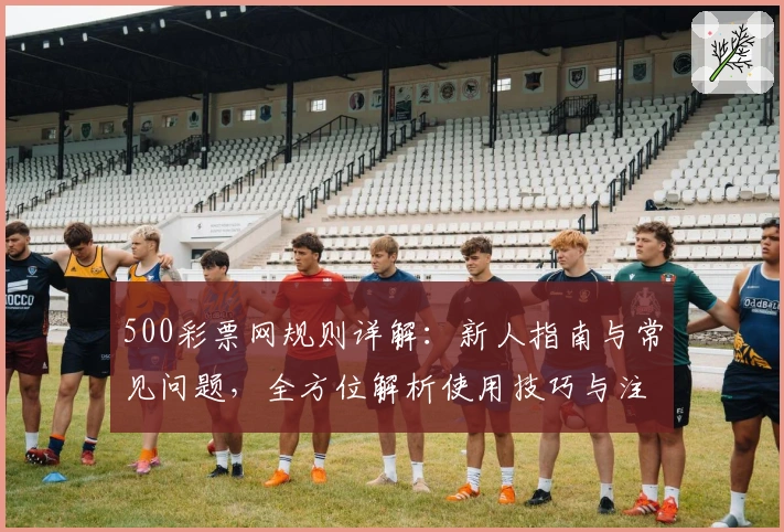 500彩票网规则详解：新人指南与常见问题，全方位解析使用技巧与注册流程